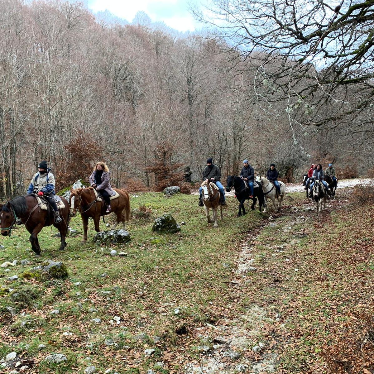 WhatsApp Image 2019-11-27 at 12.48.58-2