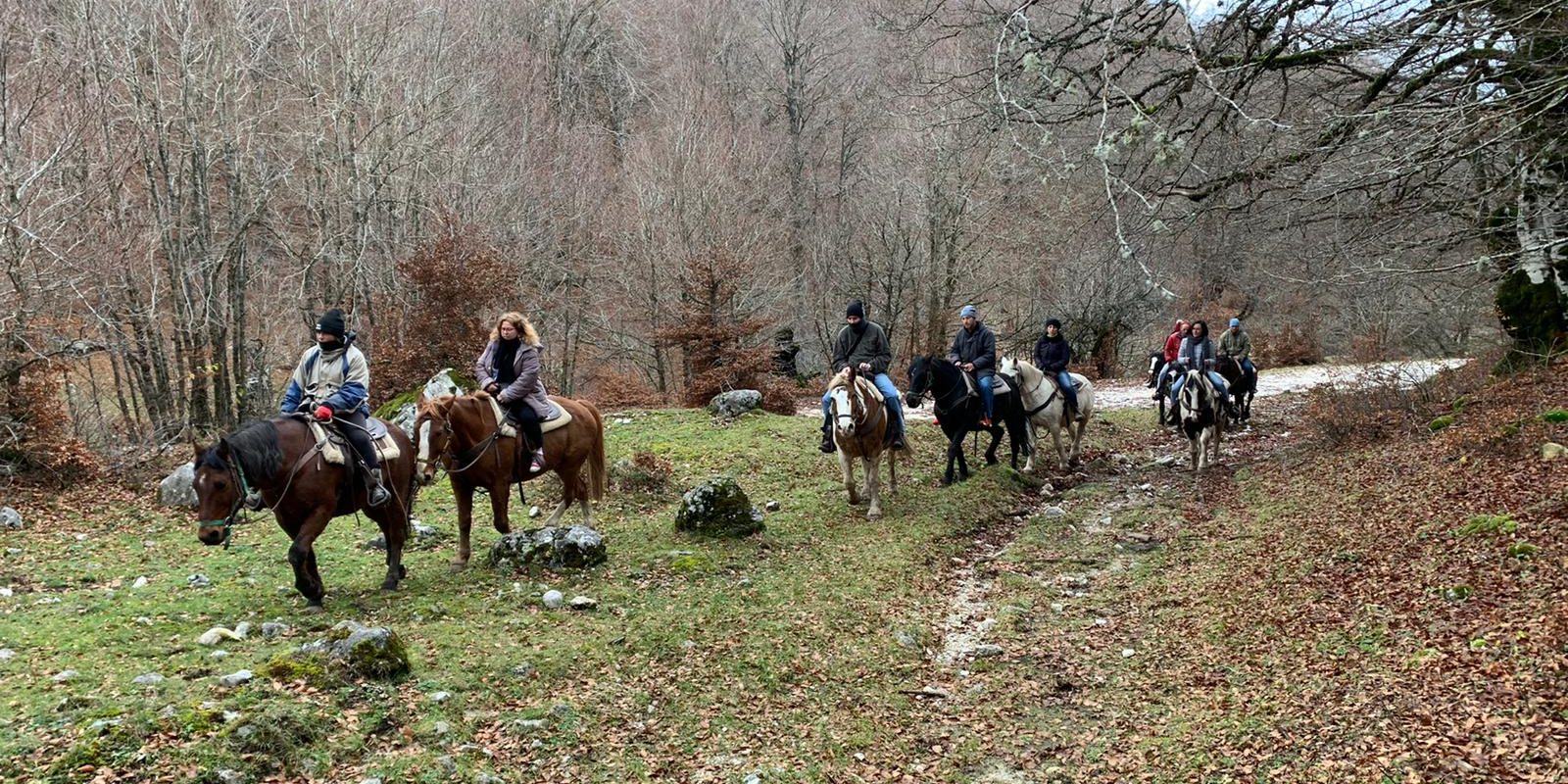 WhatsApp Image 2019-11-27 at 12.48.58-2