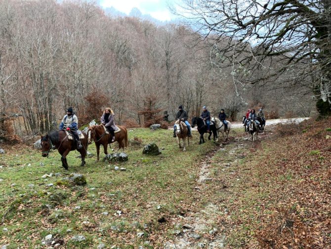 WhatsApp Image 2019-11-27 at 12.48.58-2