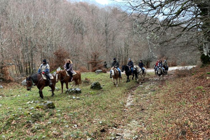 WhatsApp Image 2019-11-27 at 12.48.58-2