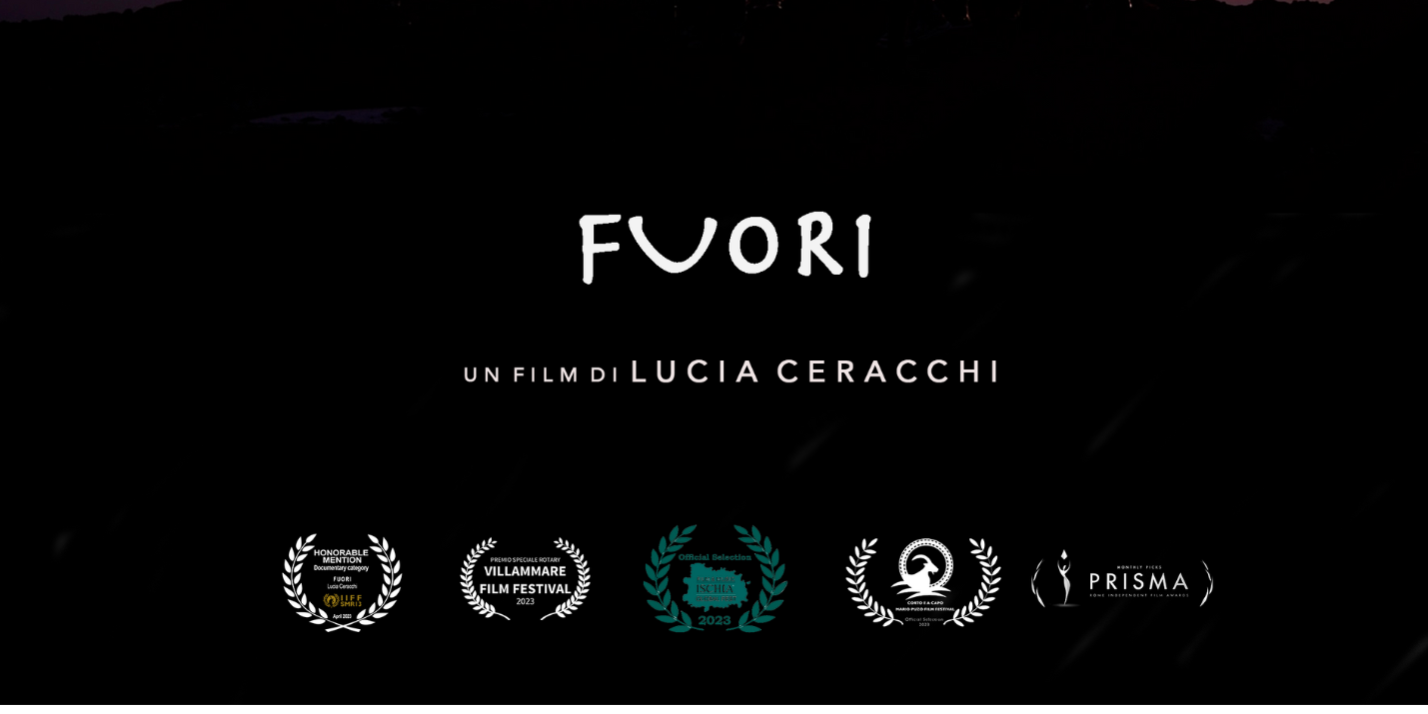 proiezione 22 novembre 2024 – cinema delle province